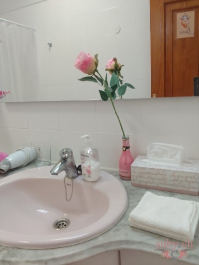 suby-balmer-bath-room-mirror Guest bathroom, sink; fully equipped.