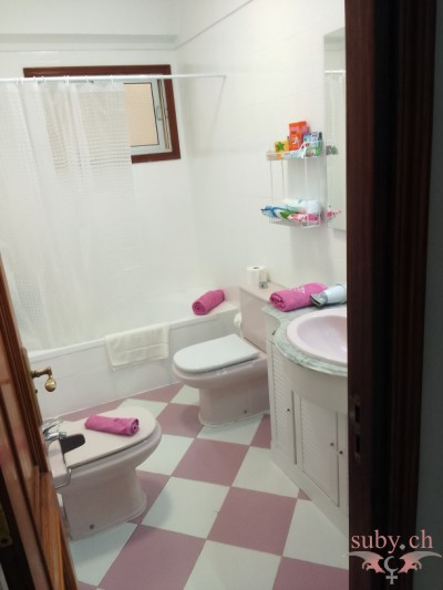 suby-balmer-guest-bath-room Guest bathroom with shower, toilet, and bidet.